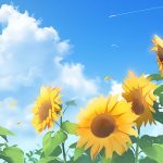 HuntSunflowers-学技术网